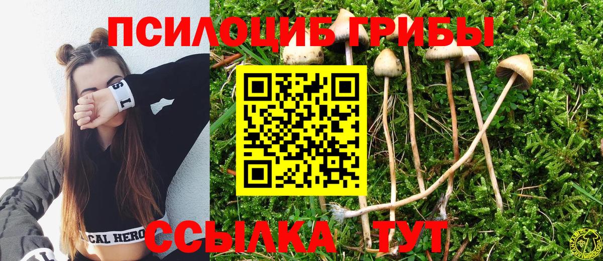 Псилоцибиновые грибы GOLDEN TEACHER Елец